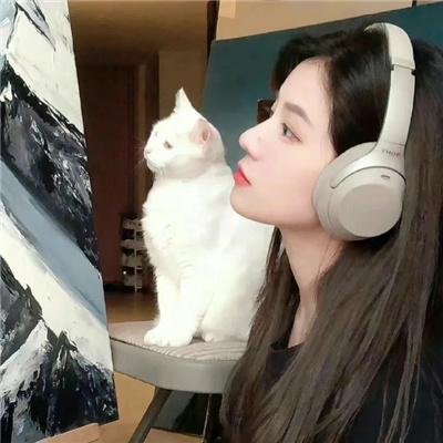 千古玦尘